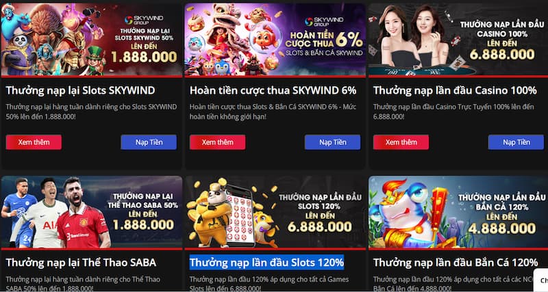 Betvision Betvision